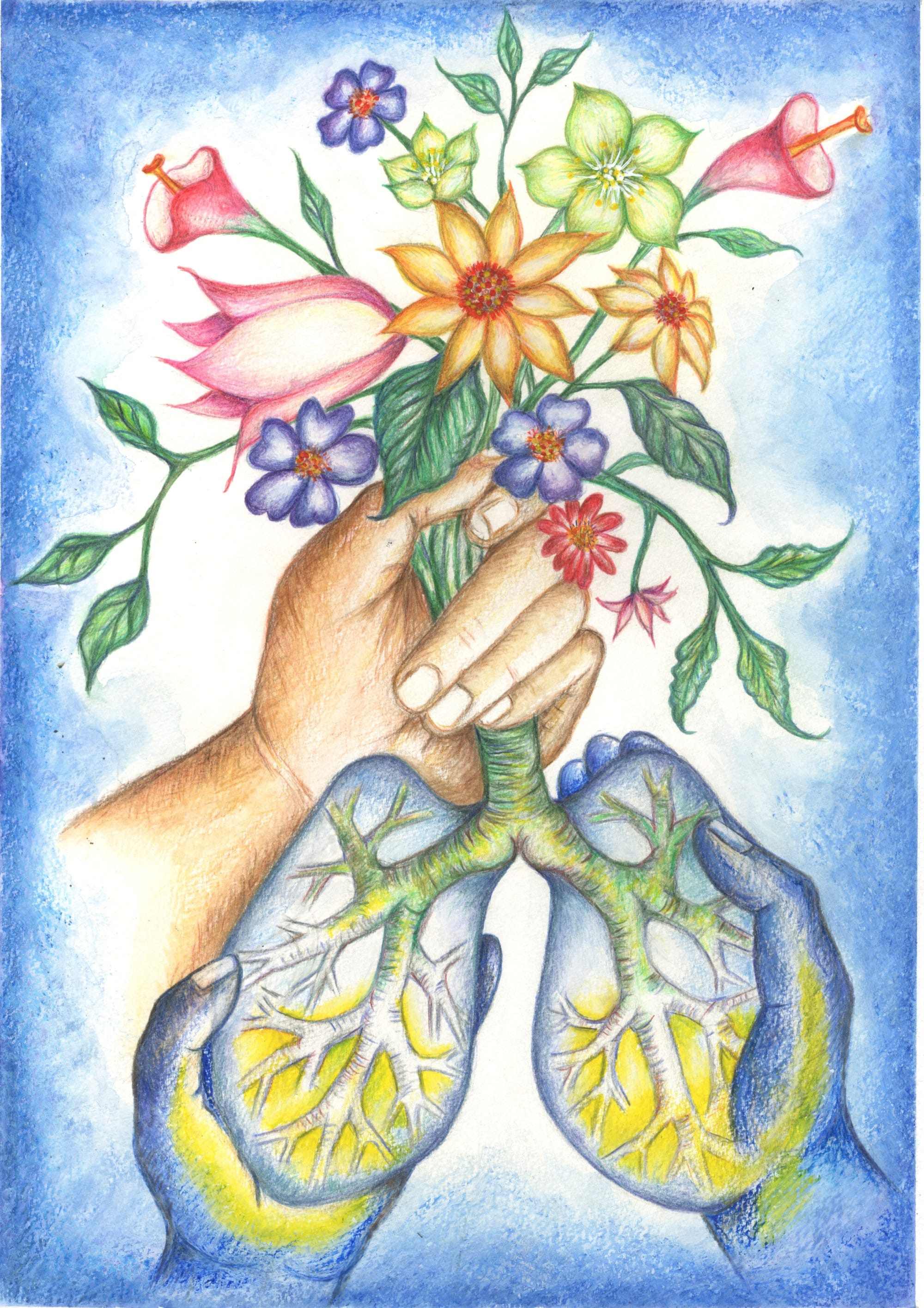 Colored pencil illustration of two hands shaped like lungs holding a bouquet of flowers growing from a bronchial-tree stem, on blue.